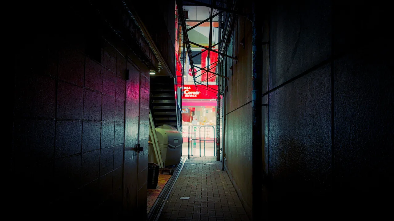A narrow alley between dark concrete walls, lit at the far end by the red glow of a shop front.